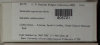 Image Associated With the Occurence